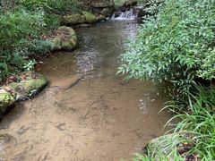 -中国茶叶博物馆(双峰馆区)