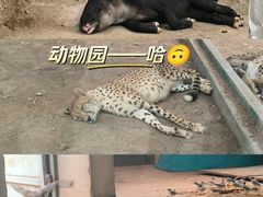 -郑州市动物园