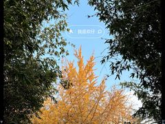 -望江楼公园