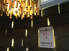 -Dragonfly悠庭·按摩Spa(新乐路店)