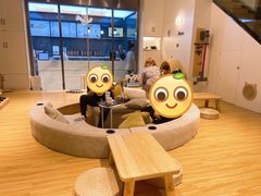 -啵啵喵·猫咖(攀华国际店)