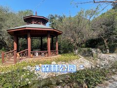 -静之湖度假区