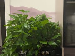 -领享养生会所·采耳·SPA按摩(厦门吕厝店)