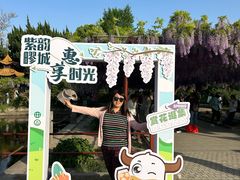 -嘉定紫藤园