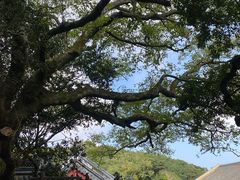 -普陀山风景区-佛顶山