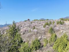 -白水寺森林公园