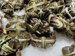 -半岛听涛蒸汽海鲜自助(K11店)