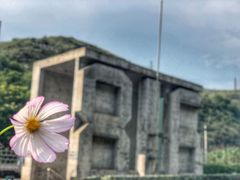 -816工程景区