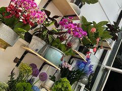 -FEI FEI FLOWER鲜花店·气球派对·宝宝宴布置(虹口德必运动Loft店)