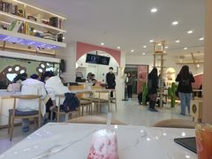 -喵园·猫主题咖啡厅·撸猫·猫咖(国贸店)