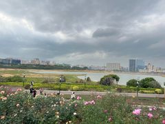 -立新湖公园