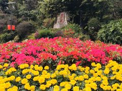 -白云山索道-售票处