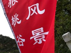 -大岭沟猕猴桃谷风景区