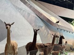 -武汉园博园(武汉自然博物馆)