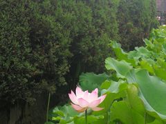 -四川大学(华西校区)