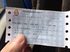 -上海南浦大桥长途旅游客运站