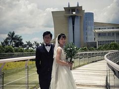 -百万葵园