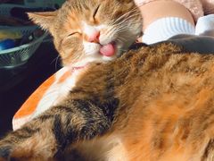 -老四季(南市场店)