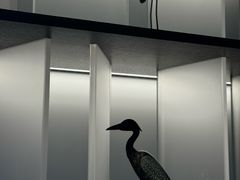 -宝盖头家居生活馆