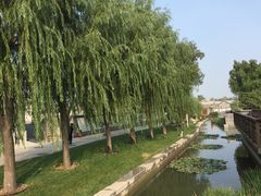 -Tian品