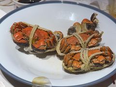 -杨氏青龙虾·羊蝎子(托乐嘉店)