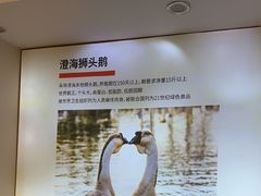 -陆记鹅庄·潮汕菜·狮头鹅(大仟里店)