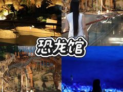 -中国西峡恐龙遗迹园