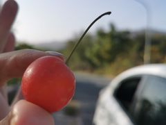-鬼笑石后山停车场