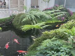 -罗红摄影艺术馆