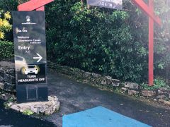 -怀托摩萤火虫洞