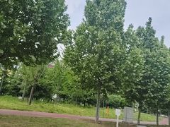 -郑州植物园