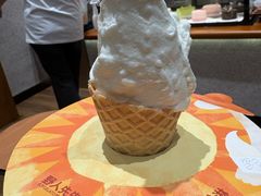 -野人先生现做冰淇淋(北京环宇荟店)