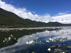 -泸沽湖国家级风景名胜区走婚桥