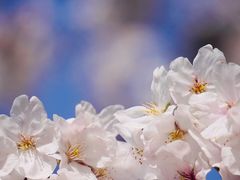 -永乐路-路侧停车场