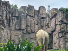 -成都动物园