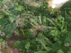 -八沟羊汤(河北大街店)