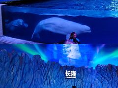 -珠海长隆海洋王国