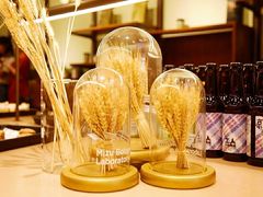 -OUR Bakery(三里屯太古里店)