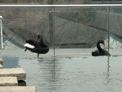 -行者书屋大堂吧 ·下午茶(南京圣和府邸酒店)