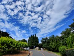 -棒棰岛宾馆景区