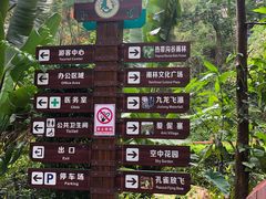 -西双版纳原始森林公园