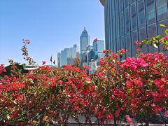 -九龙公园