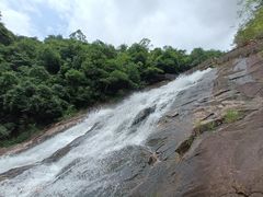 -广州白江湖森林公园