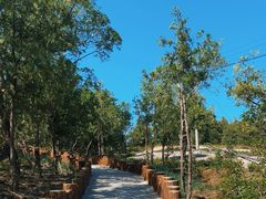 -白水寺森林公园