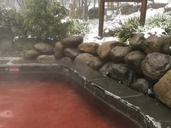 -江南天池高山汤泉城
