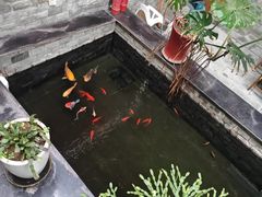 -燕北云山·农家菜·灶台鱼(密云溪翁庄店)