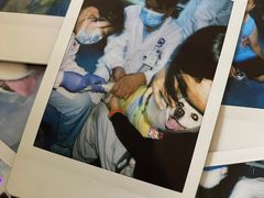 -北京赛佳动物医院