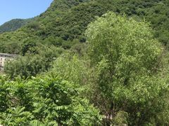 -太平万花山景区