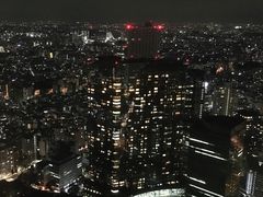 -东京都厅舍