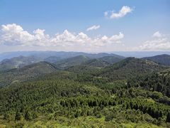 -武陵山森林公园